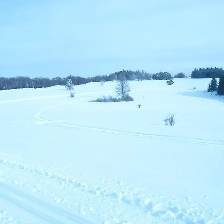 Daire Zur Alten Scheune Balingen