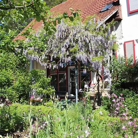 Apartment Zur Alten Scheune *
